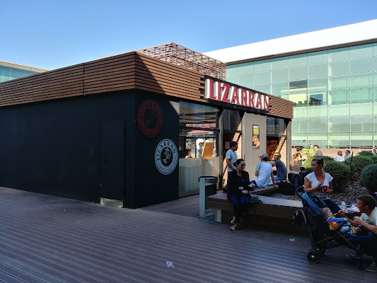 lizarran