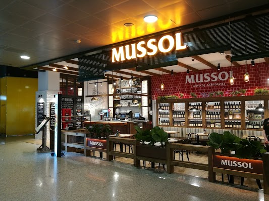 mussol-aeroport-t2